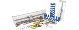 Race Tech Fork Springs FRSP-S3732110 1.1 kg/mm