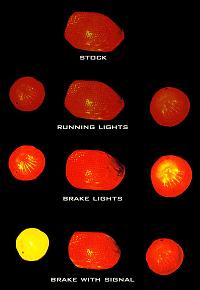 Electrical Connection - Turn Signal Conv. Kit 01314