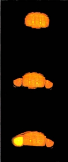 Electrical Connection - Turn Signal Conv. Kit 01312 for housings with AMBER lens  turn signals